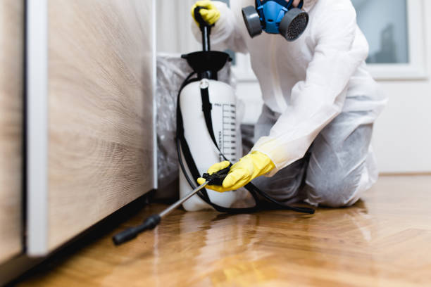 Best Wildlife Control Services  in Elverta, CA