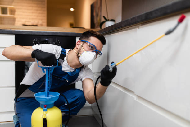 Professional Pest Control in Elverta, CA