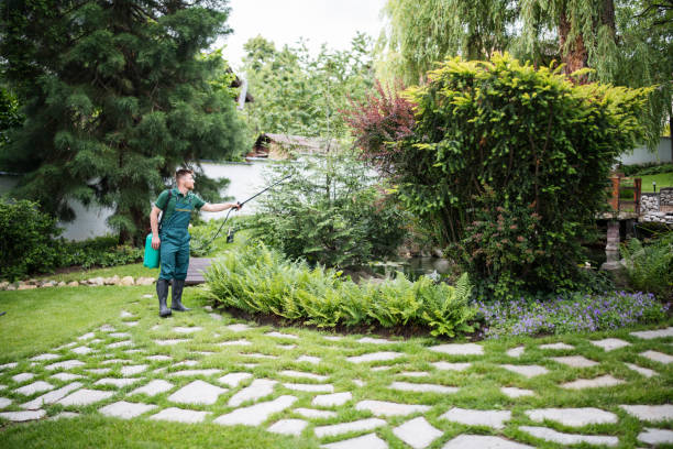 Best Pest Prevention Services  in Elverta, CA