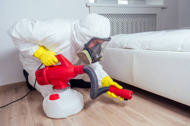Best Local Pest Control Services  in Elverta, CA