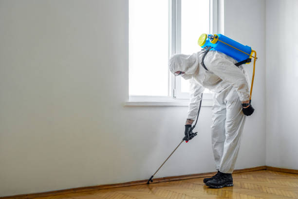 Best Pest Inspection Near Me  in Elverta, CA